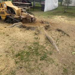 Stump Grinding 