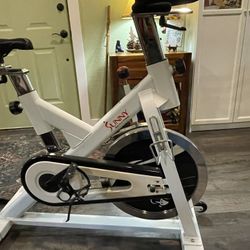 Sunny Stationary Bike