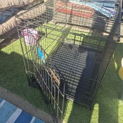 Dog Kennel 