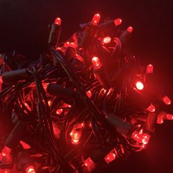 christmas lights
