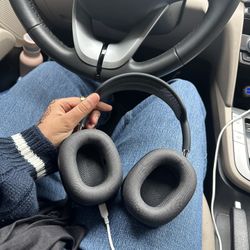 Apple Headphones 