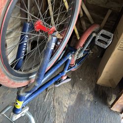 Fit Bmx  Benny Lewis Edition 