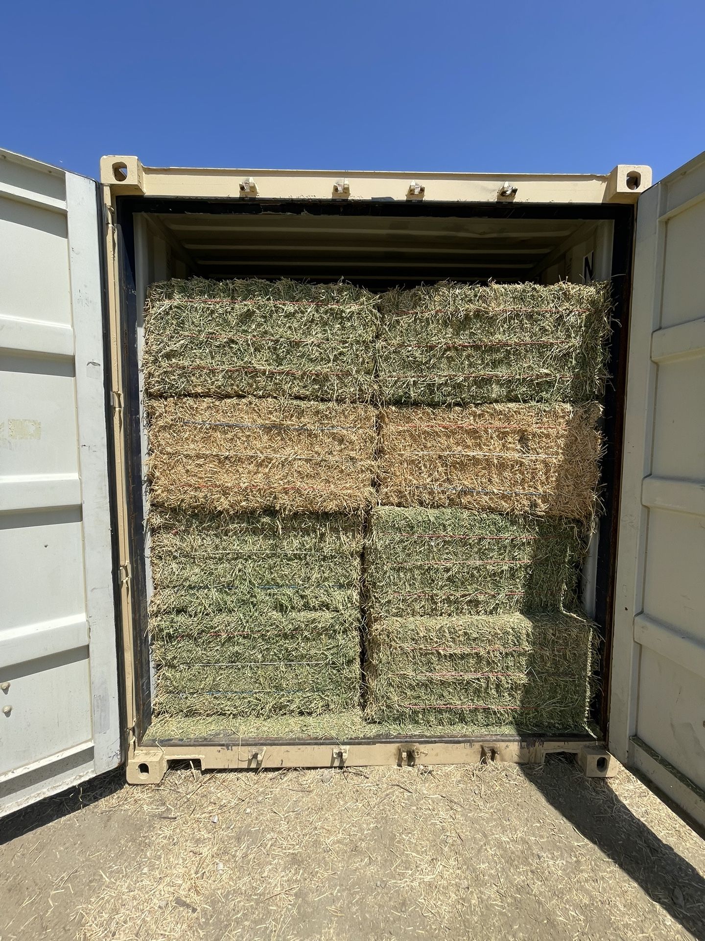 Alfalfa Horse Quality.