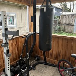 Everlast Punching Bag