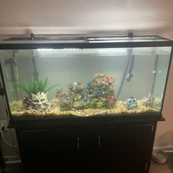 65 Gallon Fish Tank With Stand Fish And Filter System 
