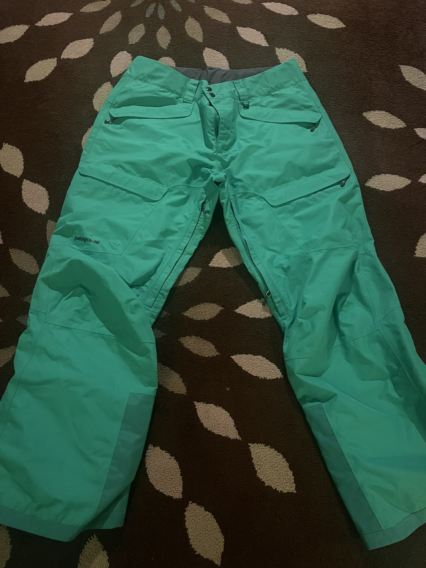 Green Patagonia H2NO Snow pants