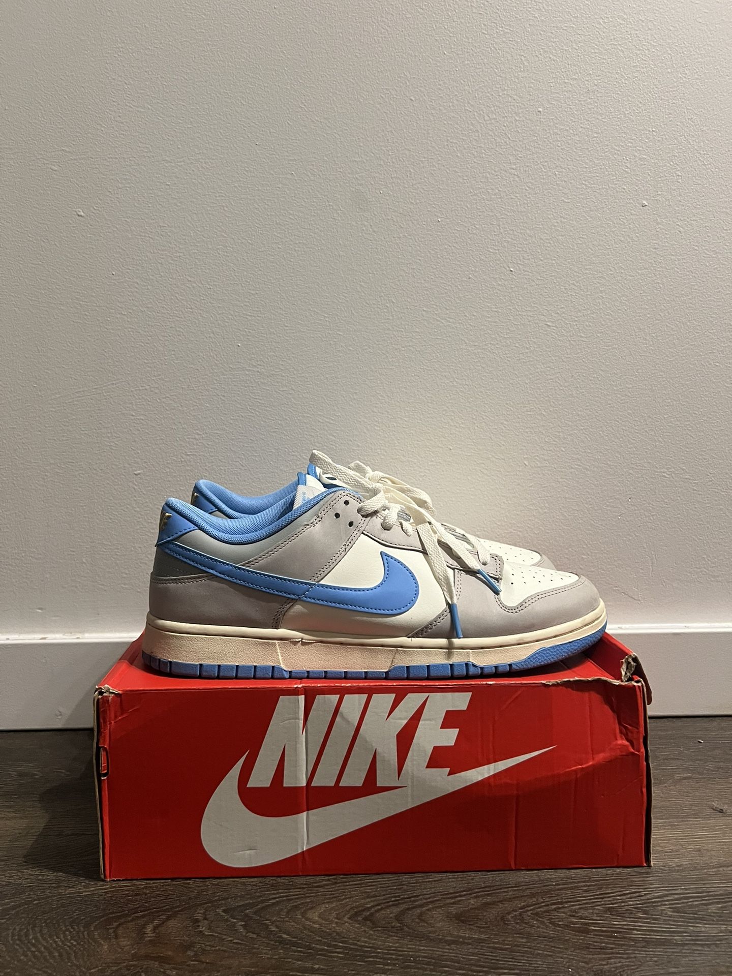 Nike Dunks university