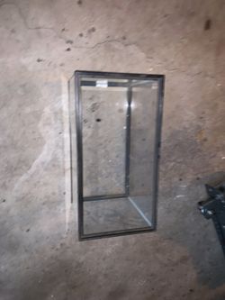 Fish/lizard tank
