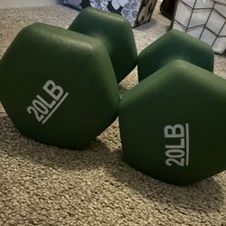 20  lb Dumbbells 