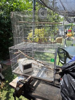 3 Bird Cages