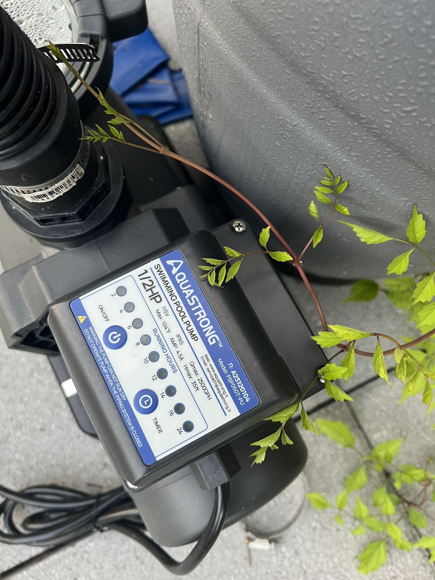 Above Ground Pump And Filter