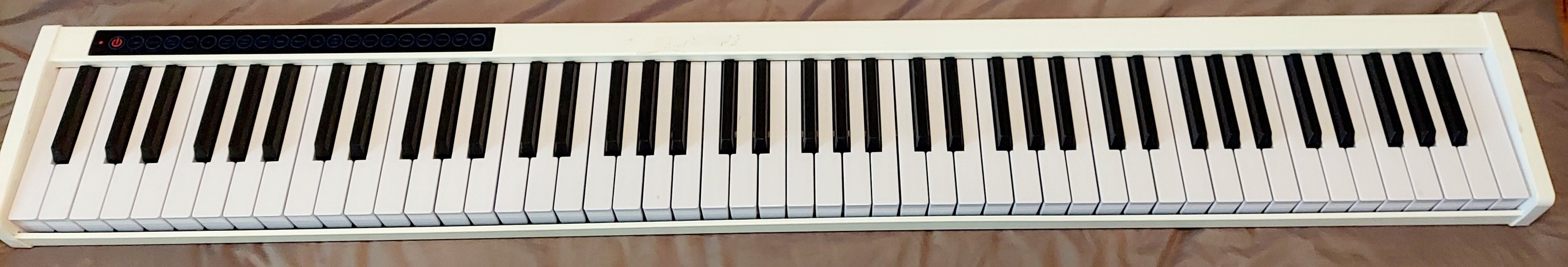 Sonart 88-Key Full Size Digital Piano Weighted Keyboard