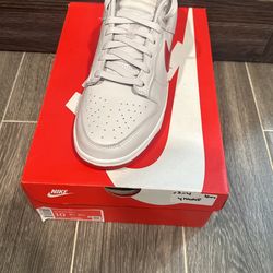 Brand New Dunk