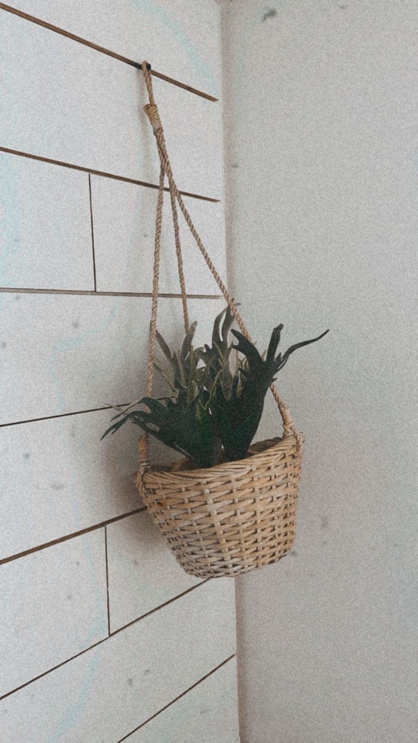Hanging plant holder