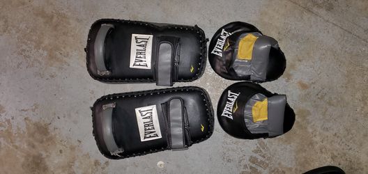 Boxing and Kicking Mits