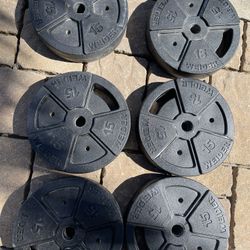 Weider Weights Plates 6X Like New All 6 For $98 * Sylmar * 