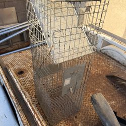 Animal, Rodent Trap Cage