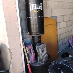 Brand New  Everlast Punching Bag And Gloves