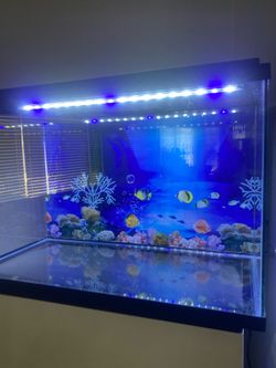 Fish Tank 10 Gallon