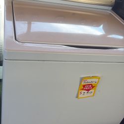 Bonita Labadora Tina Grande Con Garantía 