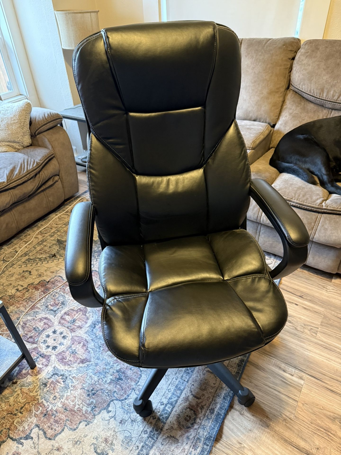Large Comfortable Office Chair