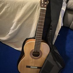 Acoustic Guitar 