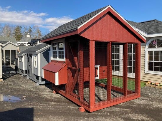 Chicken Coop