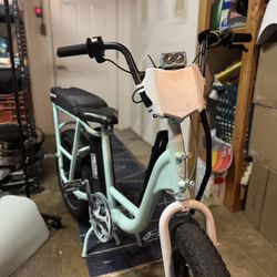 Part Out Radrunner(Motors Broken)