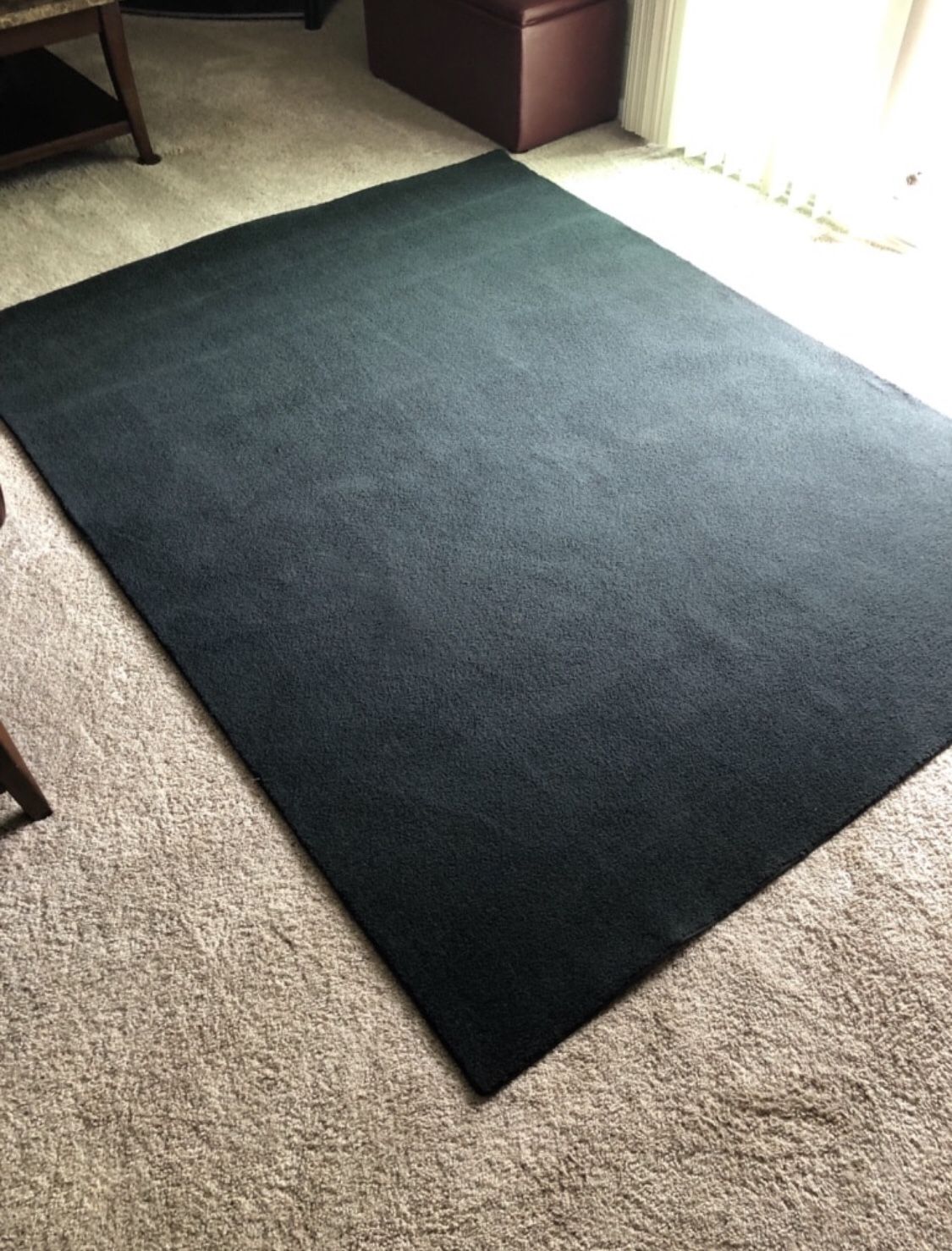Black Area Rug/ Carpet