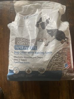 Dog Litter