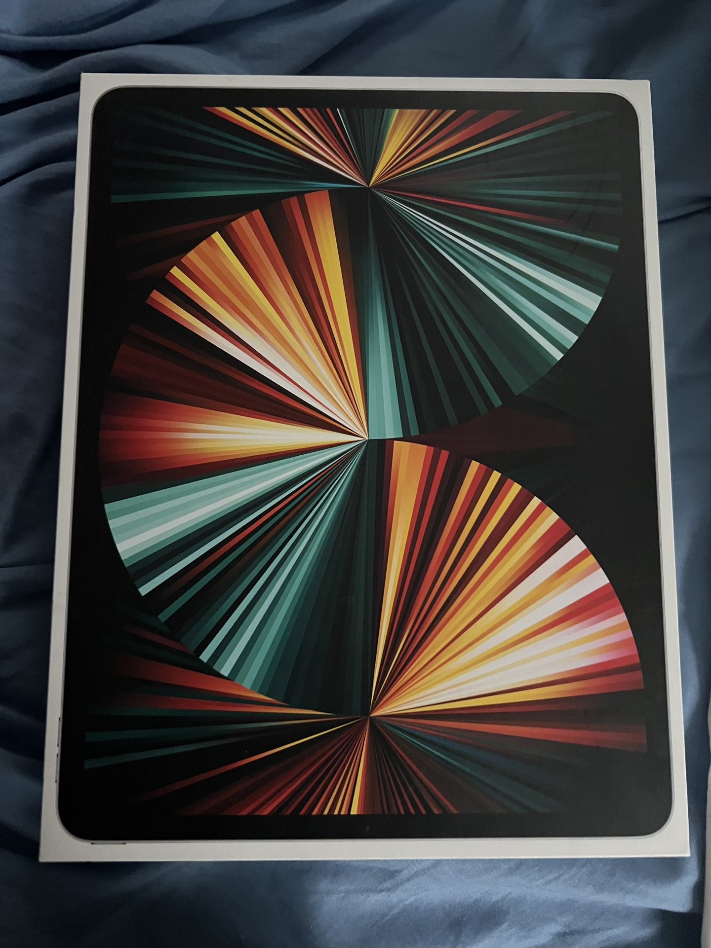 iPad Pro 12.9 Inch Wifi