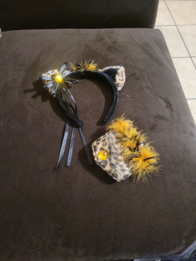 Cat Accessories