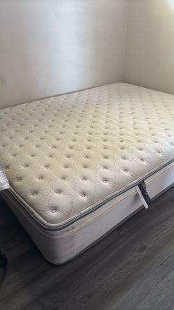 Beauty rest plush euro top