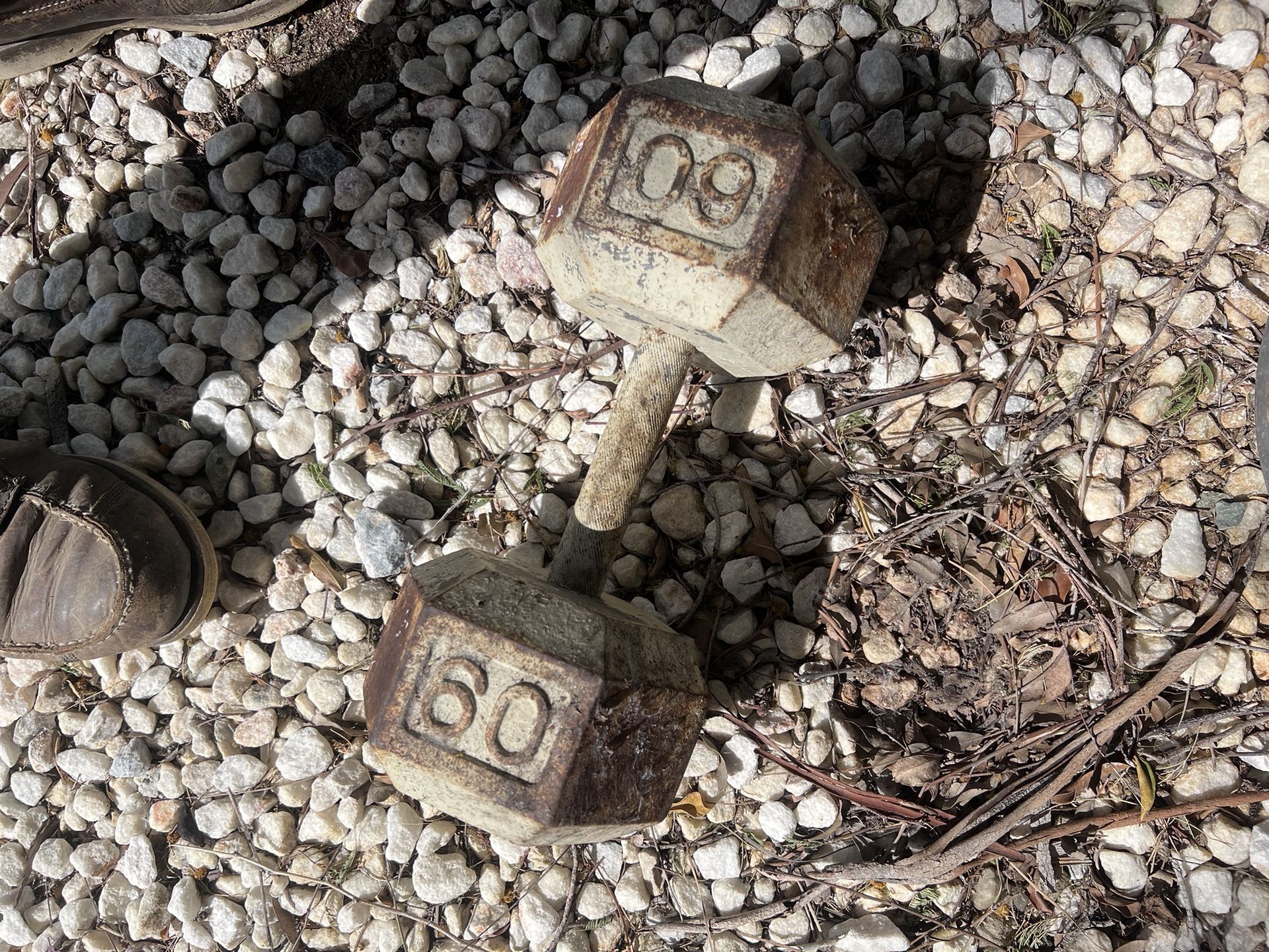 60 Lb Dumbbell