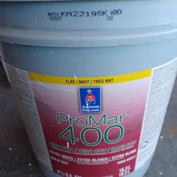 5 gallons Interior Flat White Paint