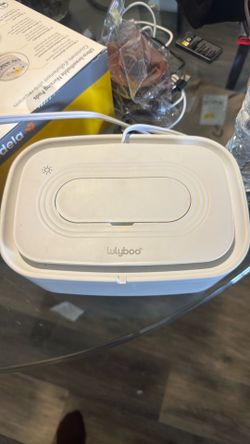 Wipe warmer