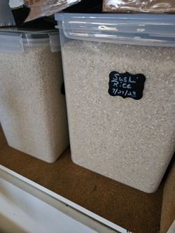 Free Rice