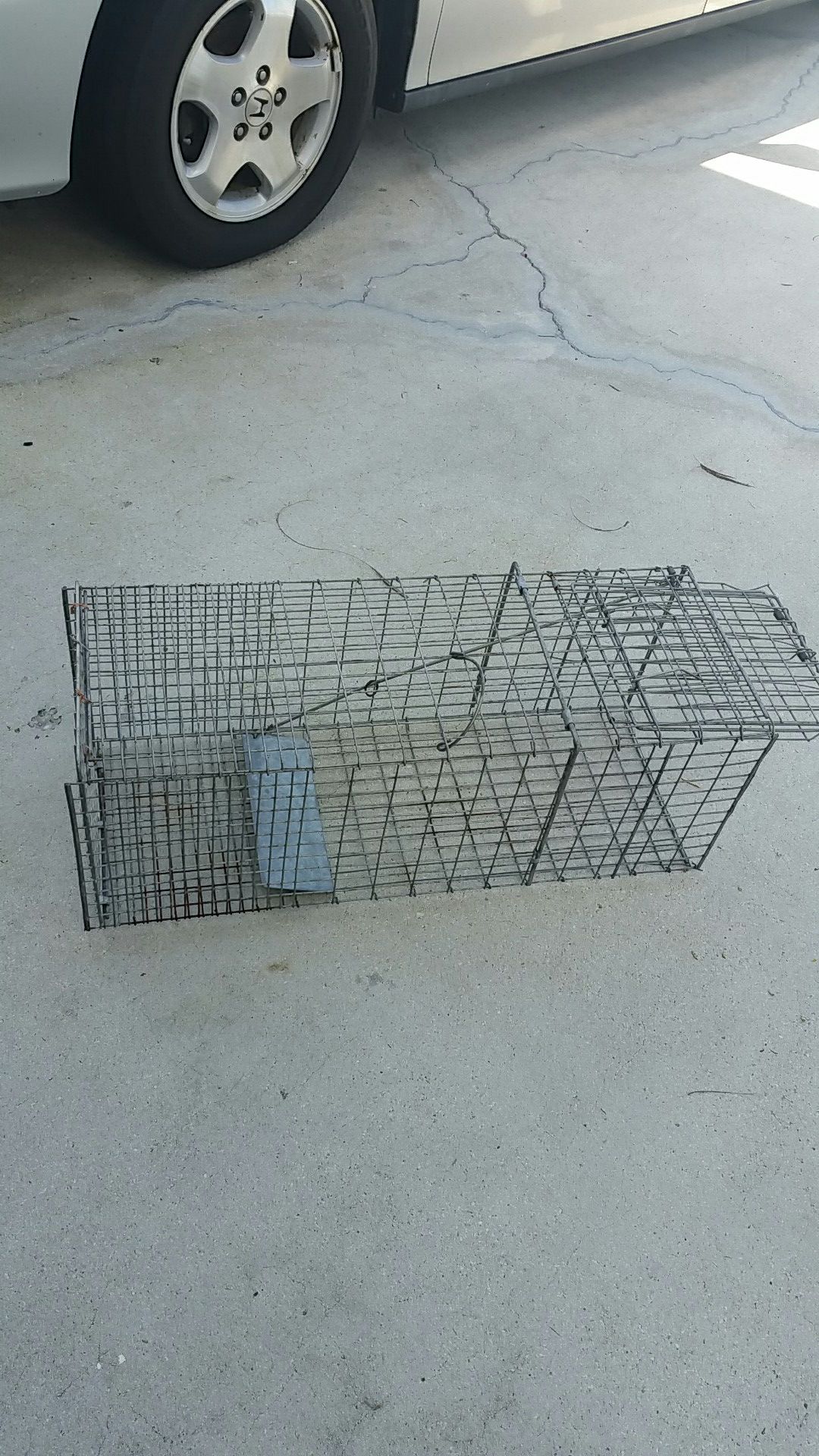 Animal trap galvanized