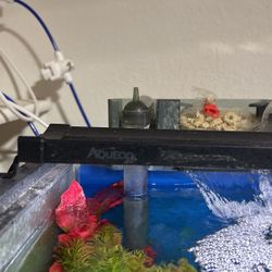 48” Aqueon Fish Tank Light