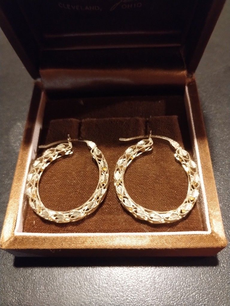 Gorgeous 10K Gold Earrings