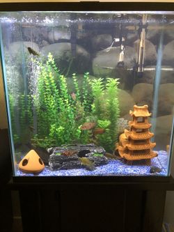 Fish tank