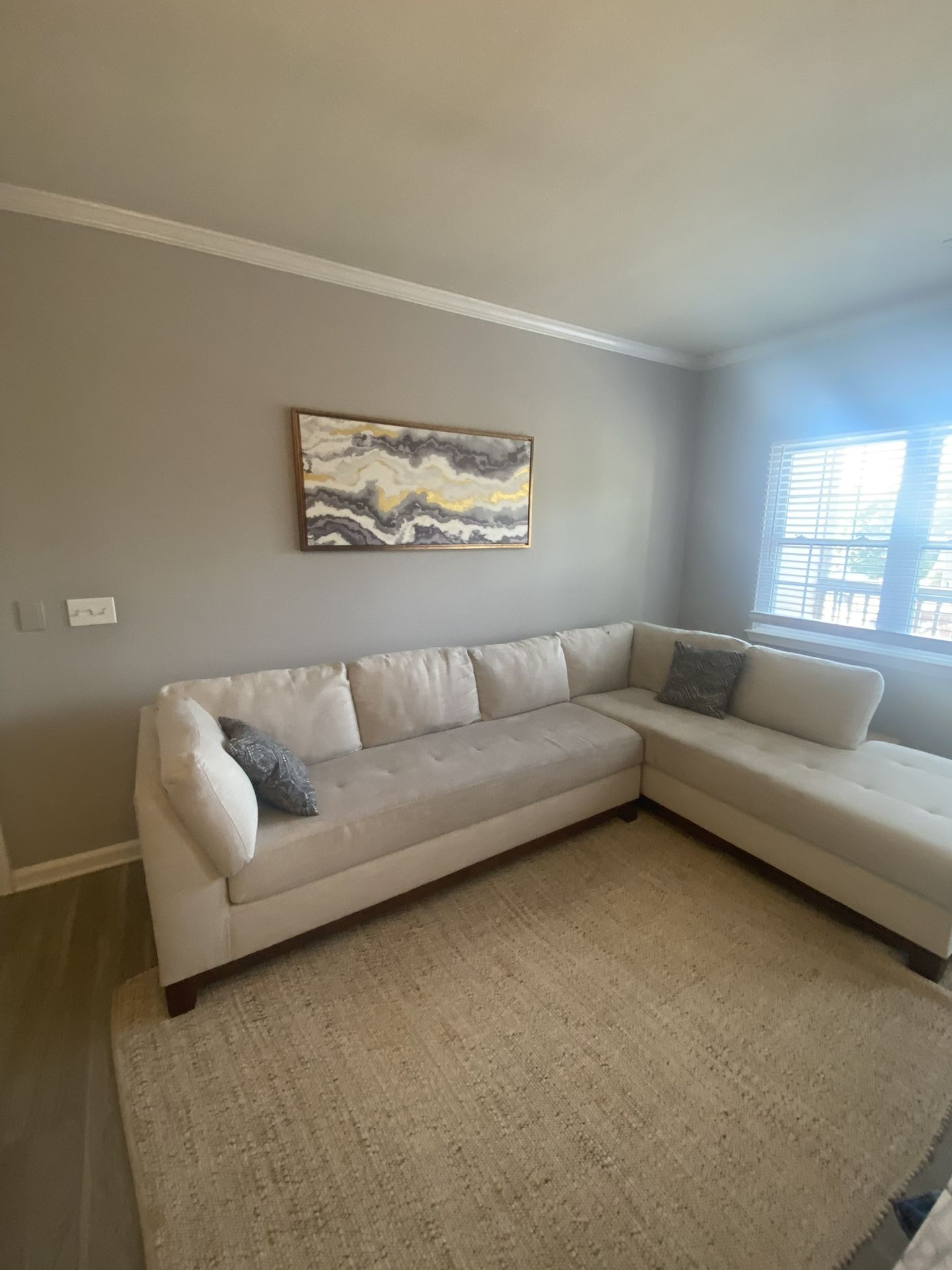 Sectional Couch For Sell + FREE Rug!