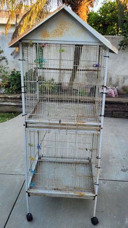 Bird Cage 🐦