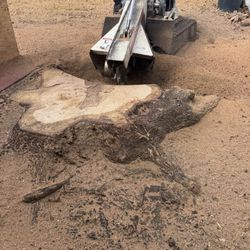 Stumps Grinder 