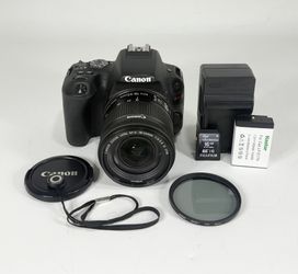 Canon EOS Rebel SL2 Black 24.2 MP Digital SLR Camera Kit with 18-55mm IS STM