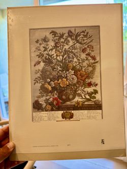 Floral MAY Print Robert Furber Gardiner 12 Months of Flowers