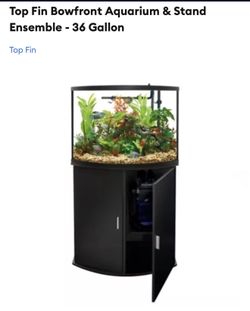 Fish Tank