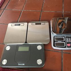 Scale 