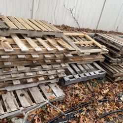 Wood Pallets/ Skids