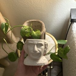 Einstein Pen Holder
